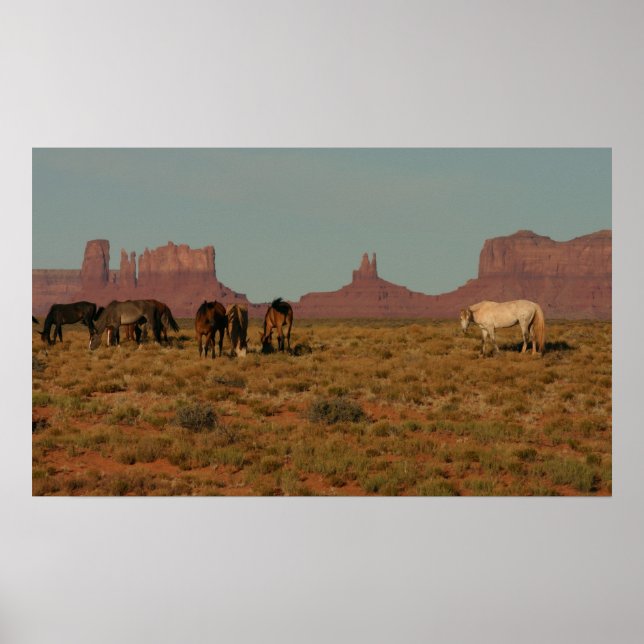 Horses on Western Range Poster (Front)