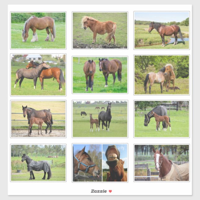 Horses (or YOUR Photos) stickers (Sheet)