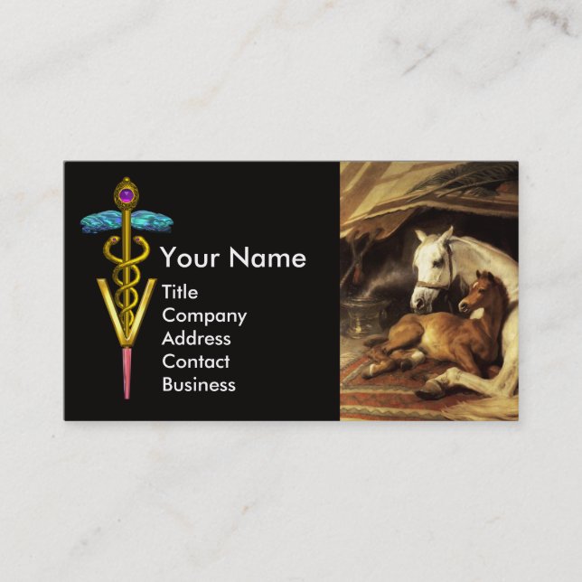 HORSES, OTHER ANIMALS ,CADUCEUS VETERINARY SYMBOL BUSINESS CARD (Front)