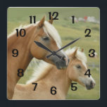 Horses  Palomino Mother and Foal Portrait Square Wall Clock<br><div class="desc">Featured on this clock is a portrait of a Haflinger mare and her foal. The numbers are calibrated to correspond to the proper time indications. This clock would make a perfect gift for a horse lover.</div>