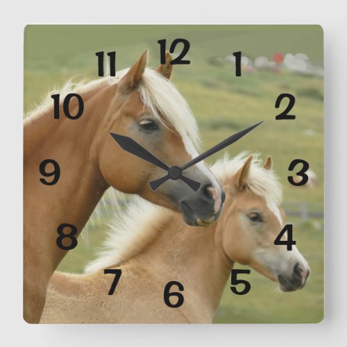 Horses  Palomino Mother and Foal Portrait Square Wall Clock