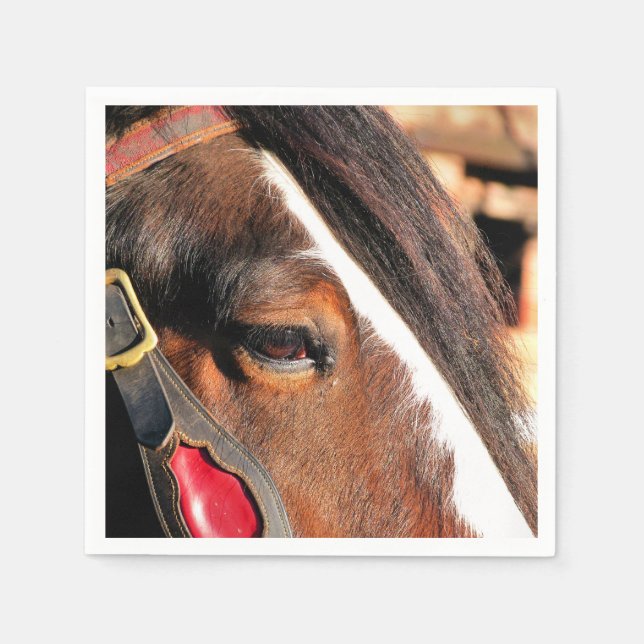 HORSES PAPER NAPKINS (Front)