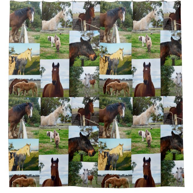 Horses Photo Collage Bathroom Shower Curtain (Front)
