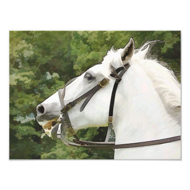 HORSES PHOTO PRINT (Front)