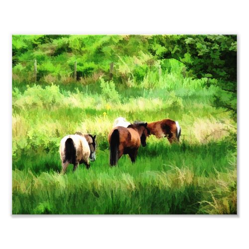 HORSES PHOTO PRINT