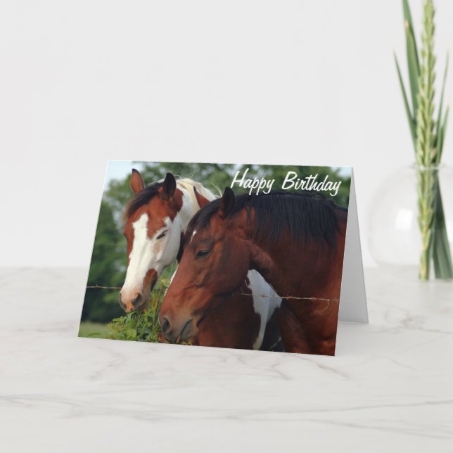 Horses Photograph Happy Birthday Card (Front)