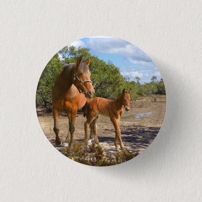 horses pinback button (Front)