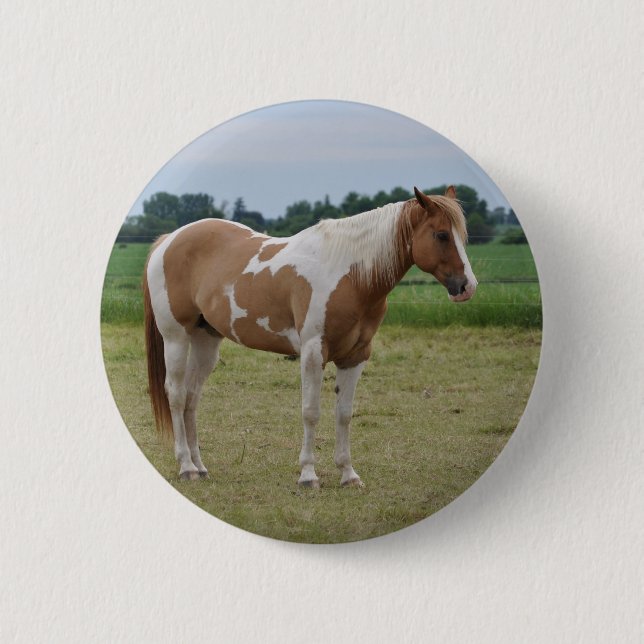 Horses Pinback Button (Front)