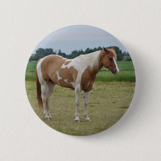 Horses Pinback Button