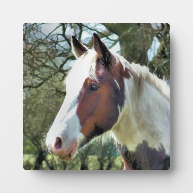 HORSES PLAQUE (Front)