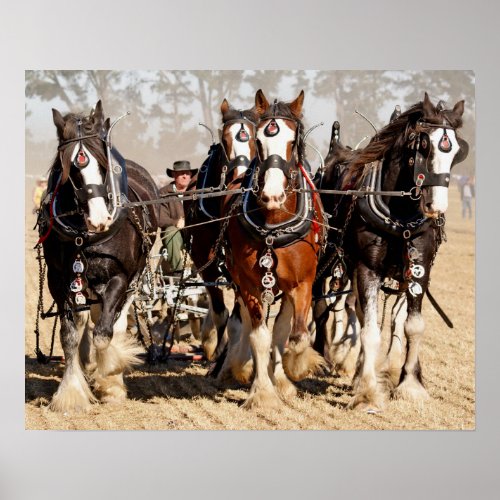 Horses ploughing field poster