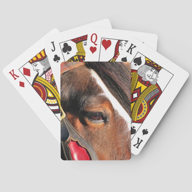 HORSES POKER CARDS (Back)