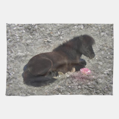 horses pony shetty animal minihorse towel