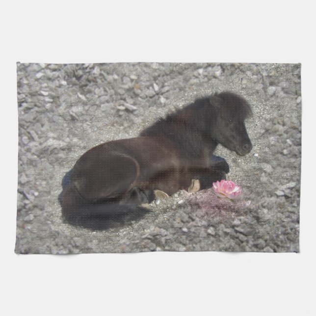 horses pony shetty animal minihorse towel (Horizontal)