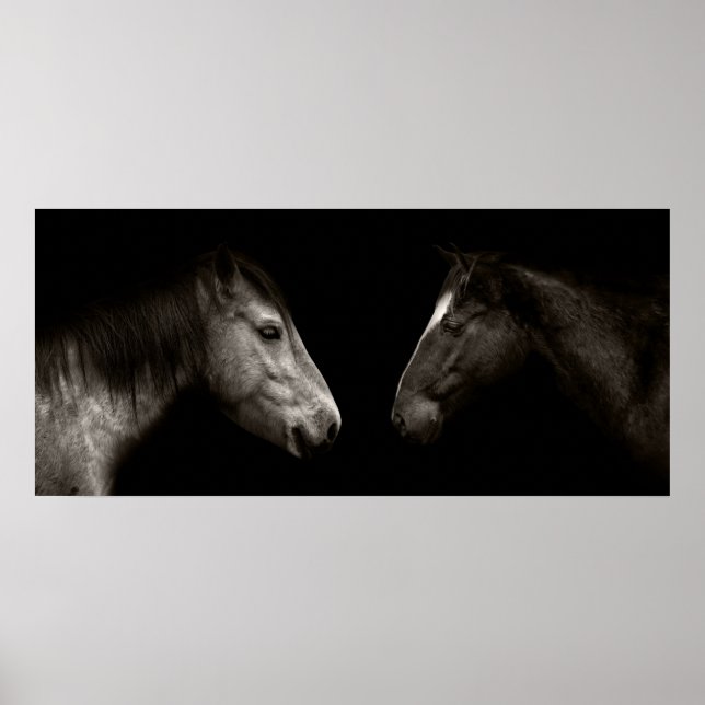 Horses portrait poster (Front)