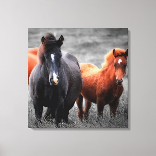 Horses Portrait Selective Color Photography Canvas Print