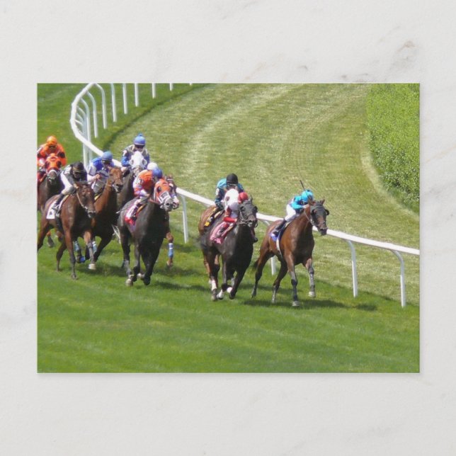 Horses Postcard (Front)