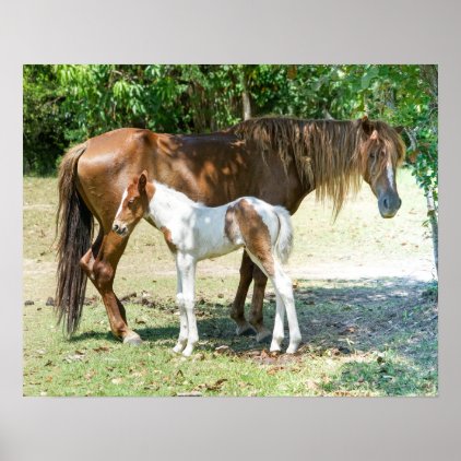 Horses Poster