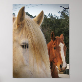 Horses Poster