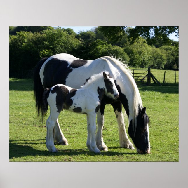 horses poster (Front)