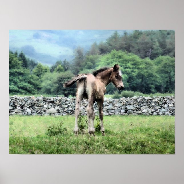 HORSES POSTER (Front)