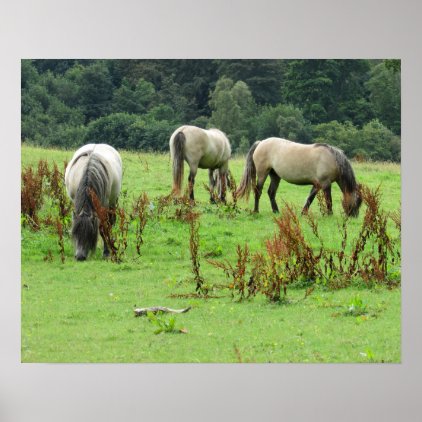 Horses Poster