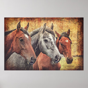 Horses Poster for decoupage or collage paper