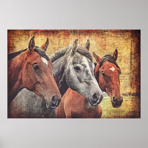 Horses Poster for decoupage or collage paper