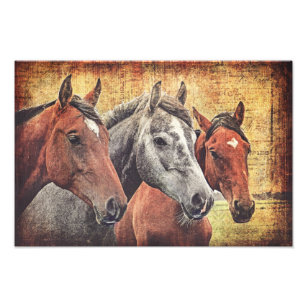 Horses Print for decoupage or collage paper
