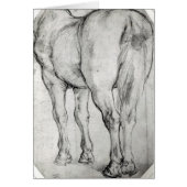 Horse's Rear (Front)