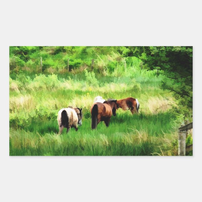 HORSES RECTANGULAR STICKER (Front)