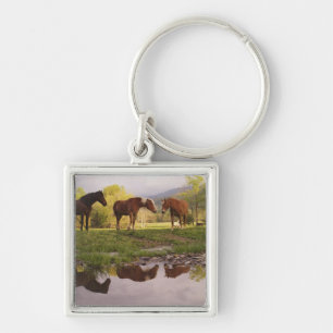 Horses reflected in small stream, Cades Cove, Keychain