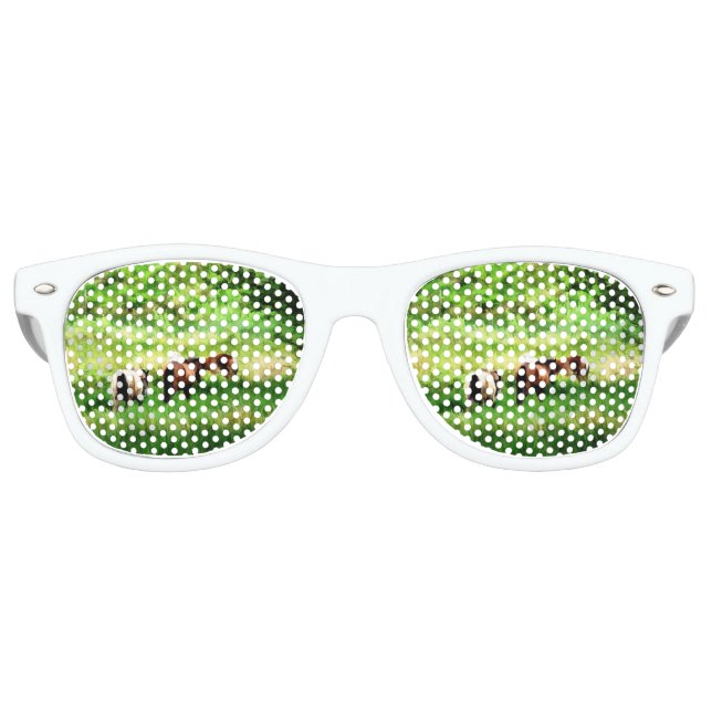 HORSES RETRO SUNGLASSES (Front)