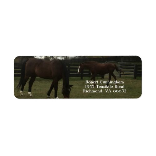 Horses Return Address Labels