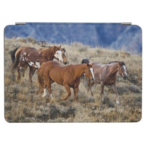 Horses Roaming the Hills iPad Air Cover