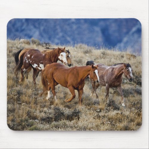 Horses Roaming the Hills Mouse Pad