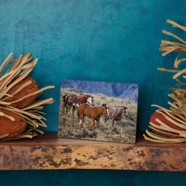 Horses Roaming the Hills Plaque (Side)