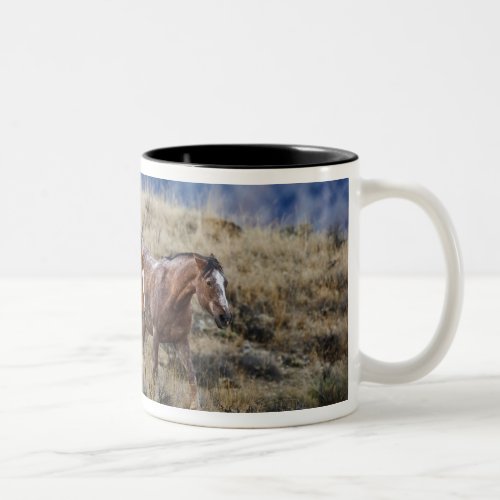 Horses roaming the scenic hills of the Big Horn 2 Two_Tone Coffee Mug