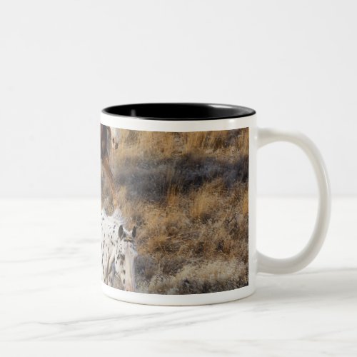 Horses roaming the scenic hills of the Big Horn Two_Tone Coffee Mug