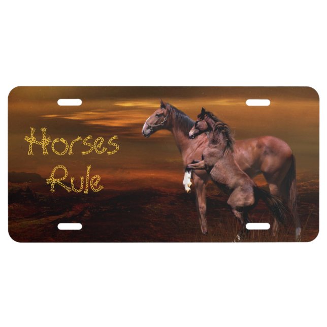 Horses rule license plate (Front)