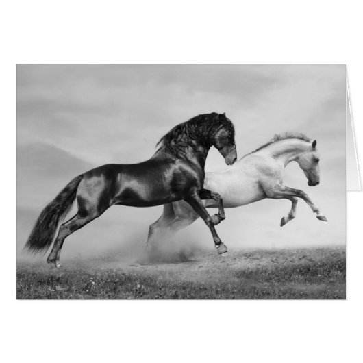 Horses Run Cards (Front Horizontal)