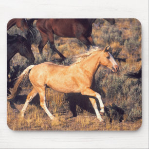 Horses Running a Ponderosa Ranch Mouse Pad