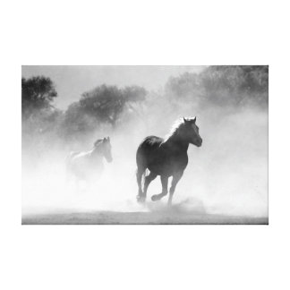 Beautiful Horse Wrapped Canvas Prints | Zazzle