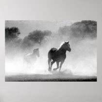 Horses running black and white beautiful scenery poster
