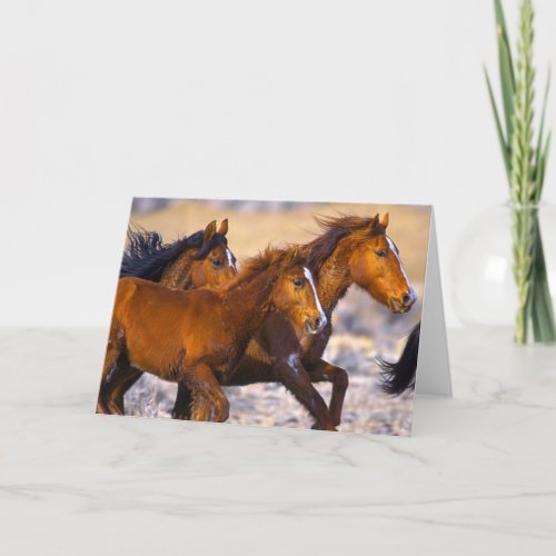 Horses running card