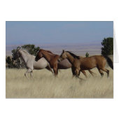 Horses Running Free Card (Front Horizontal)