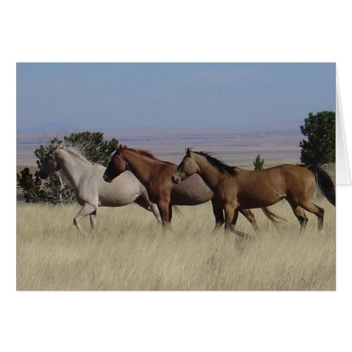 Horses Running Free Card