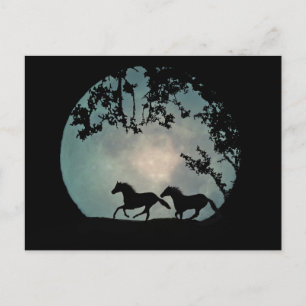 Horses running full Moon Postcard