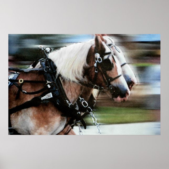 Horses running horse drawn carriage poster photo (Front)