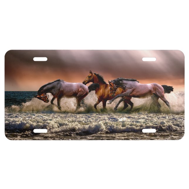 Horses Running in Ocean Surf at Sunset License Plate (Front)